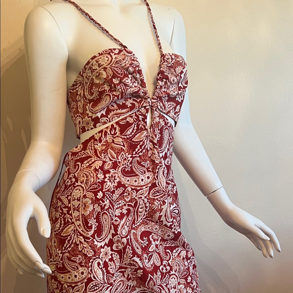 Zara Floral Burgundy and Cream Dress